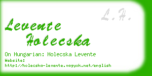 levente holecska business card